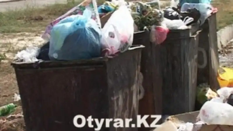 В Шымкенте в мусорном баке найдено тело новорождённого младенца