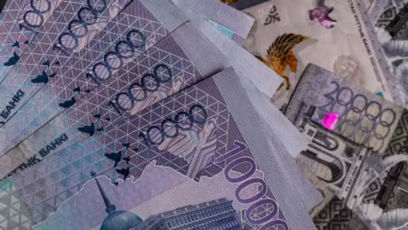 В Туркестанской области сельхозпредприятия незаконно получили миллионные субсидии