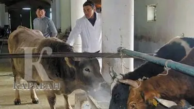 Zakon.kz, фото - Новости Zakon.kz от 20.07.2014 02:53