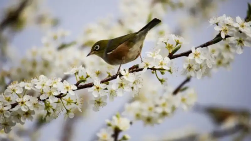 19 апреля казахстанцев ожидает усиление ветра, гроза и туман