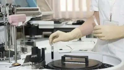 Pixabay, фото - Новости Zakon.kz от 06.04.2020 10:20