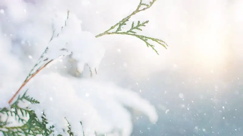 Синоптики прогнозируют снег с метелью на большей части Казахстана