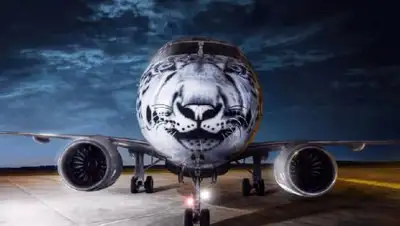 24.kz, фото - Новости Zakon.kz от 15.12.2018 07:18