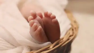 azattyq-ruhy.kz, фото - Новости Zakon.kz от 26.11.2020 14:04