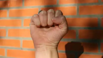 Вести, фото - Новости Zakon.kz от 15.04.2019 14:56