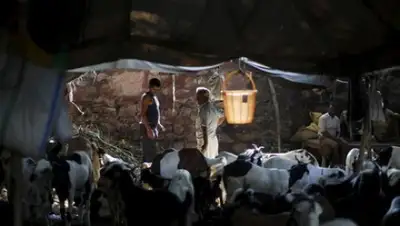 Adnan Abidi / Reuters, фото - Новости Zakon.kz от 22.07.2018 07:07