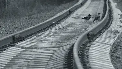 Sputnik / Михаил Воскресенский, фото - Новости Zakon.kz от 06.02.2018 10:43