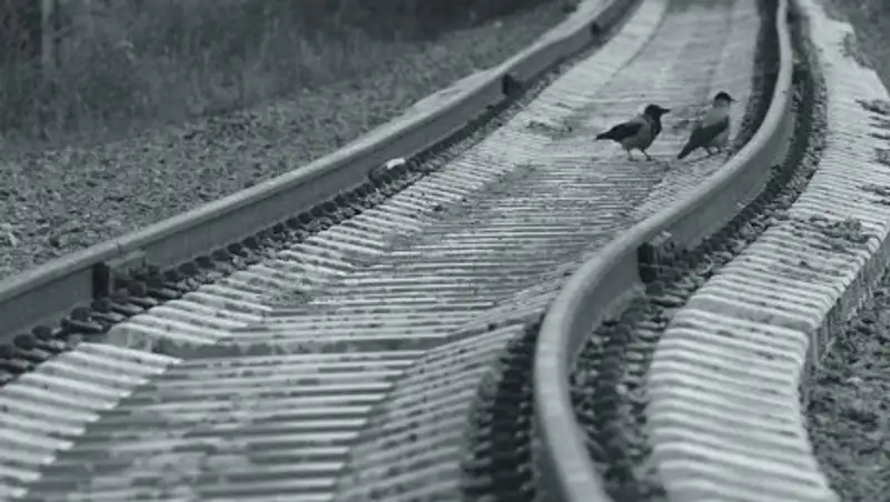 В Кокшетау мужчина попал под грузовой поезд