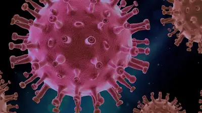 Статистика по COVID-19: 71 казахстанец заразился коронавирусом за сутки, фото - Новости Zakon.kz от 18.04.2023 08:31