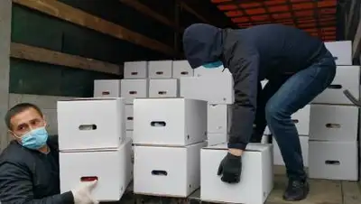 pravitelstvo.kbr.ru, фото - Новости Zakon.kz от 16.03.2021 09:27