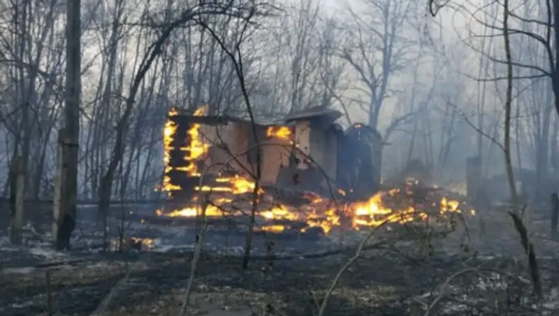 Радиационный фон в Чернобыльской зоне в норме