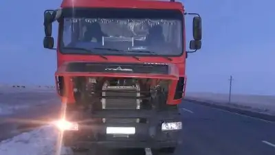 Polisia.kz, фото - Новости Zakon.kz от 28.11.2020 16:17