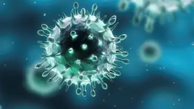 intalent.pro, фото - Новости Zakon.kz от 19.06.2020 09:32