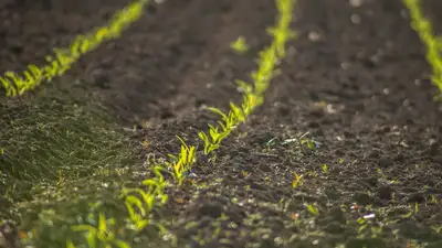 министр, закон, фото - Новости Zakon.kz от 28.12.2022 13:49