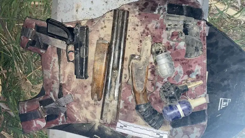 Около Талдыкоргана полицейские нашли тайник с оружием