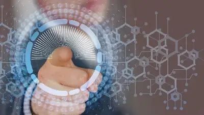 программа по индентификации, фото - Новости Zakon.kz от 30.12.2021 10:09