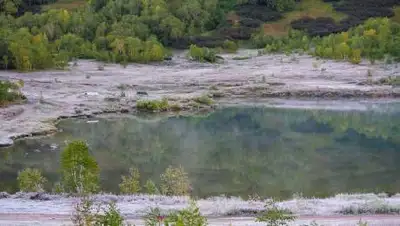 pixabay.com, фото - Новости Zakon.kz от 03.06.2021 17:58