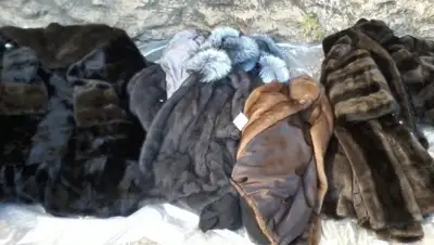 Zakon.kz, фото - Новости Zakon.kz от 18.08.2015 18:53