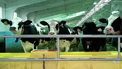 Zakon.kz, фото - Новости Zakon.kz от 19.01.2016 16:48