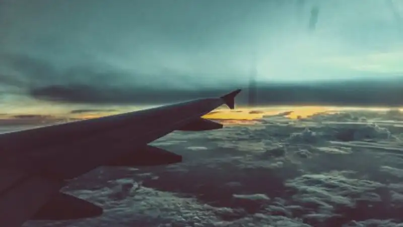 Самолет экстренно сел в Сочи после нападения пассажира на стюардессу