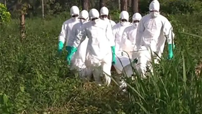 Лихорадка Эбола в США: тревога оказалась ложной