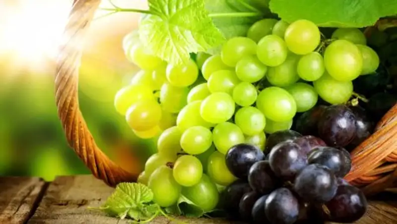 Узбекистанским рабочим выдали в счет зарплаты виноград