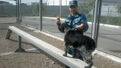 Zakon.kz, фото - Новости Zakon.kz от 09.05.2015 00:46