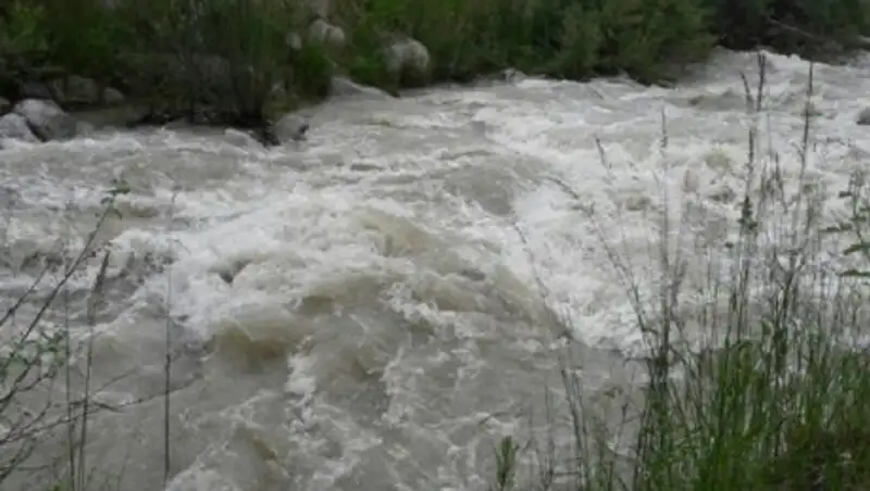 Продолжаются поиски полуторагодовалой девочки в Семее, упавшей в реку
