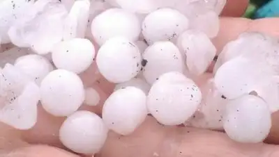 Zakon.kz, фото - Новости Zakon.kz от 01.07.2017 02:00