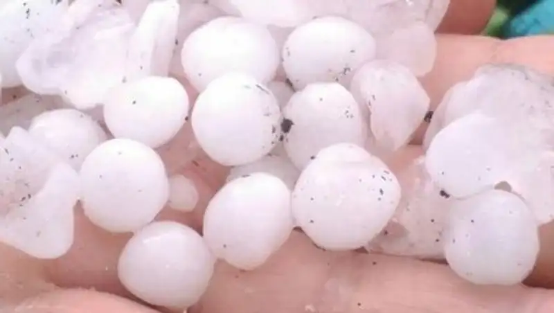 Град размером в перепелиное яицо выпал в Акмолинской области