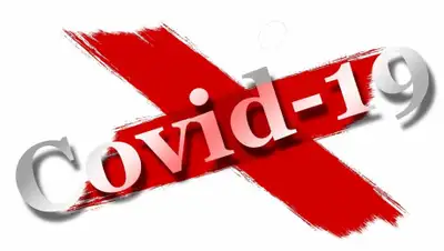 SakhalinMedia, фото - Новости Zakon.kz от 04.04.2020 14:58