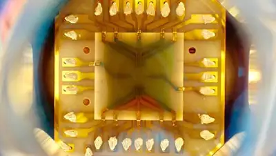 Zakon.kz, фото - Новости Zakon.kz от 24.01.2017 04:06