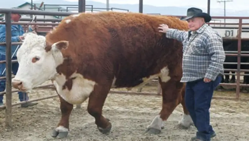 Ряд мер по поддержке фермерства предложен на заседании Правительства РК