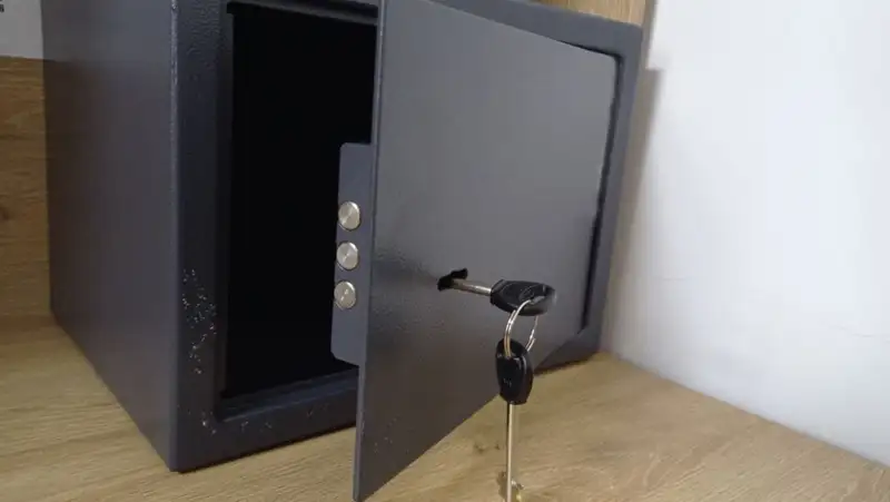 Кража сейфа из алматинского офиса попала на видео