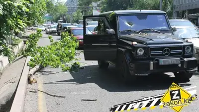 Zakon.kz, фото - Новости Zakon.kz от 28.05.2015 21:53