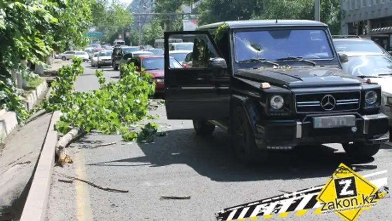 В центре Алматы на ехавший Гелендваген упала большая ветка дерева