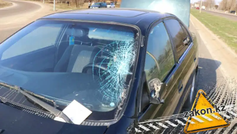 82-летнего дедушку сбили насмерть на трассе под Алматы