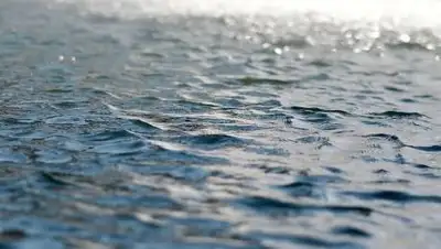 pixabay.com, фото - Новости Zakon.kz от 19.08.2021 11:42