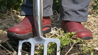 Zakon.kz, фото - Новости Zakon.kz от 04.07.2015 02:13