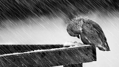 Svetlana Kuznetsova ‏, фото - Новости Zakon.kz от 06.12.2019 09:05