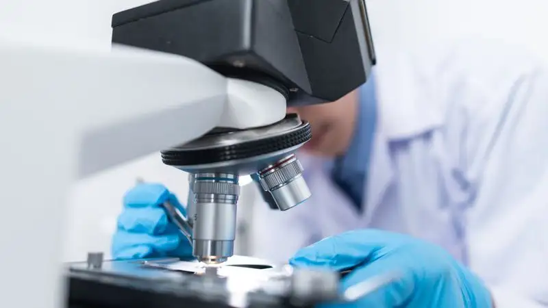 Ученые нашли универсальный метод лечения рака