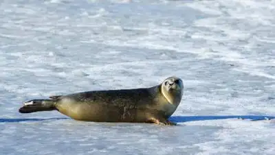 pexels.com, фото - Новости Zakon.kz от 30.09.2021 14:14