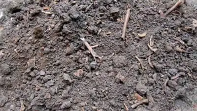 Zakon.kz, фото - Новости Zakon.kz от 02.09.2015 15:49