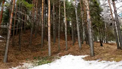 ЗКО, инспектор, смерть, оружие, фото - Новости Zakon.kz от 14.12.2021 17:09