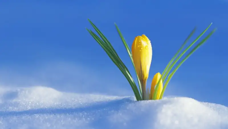 В Кокшетау выпал снег, столица - в ожидании