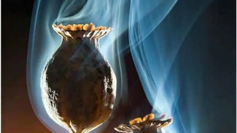 Житель ВКО варил наркотики в собственной квартире