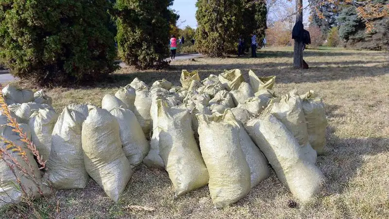 Общегородской субботник в Алматы перенесли на неопределенный срок