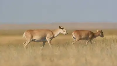 Zakon.kz, фото - Новости Zakon.kz от 25.05.2015 23:37