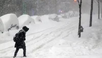 24.kz, фото - Новости Zakon.kz от 04.02.2020 16:20