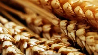 Zakon.kz, фото - Новости Zakon.kz от 16.08.2017 19:11